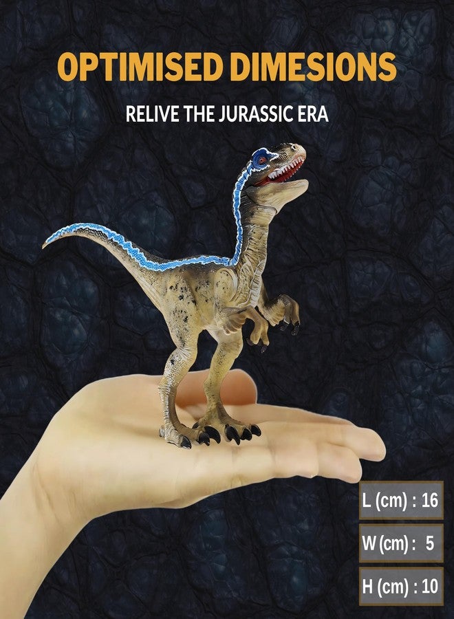 CRYA Velociraptor Toy Dinosaur Action Figure, Realistic Veloci Raptor Big Dinosaurs Toys for Kids, Blue Velociraptor Dinosaur Toy for Play and Display, Jurassic Dino Toys for Boys & Girls (Velociraptor) - Image 5